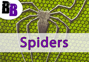 Spiders and Cobwebs Neck Tubes / Bandanas / Zandanas / Scarves & Accessories